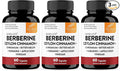 Sangluco Berberine Cinnamon Chromium Turmeric Apple Cider Vinegar Bitter Melon Supplement | Supports Healthy Levels Already Within Normal Range | 180 Capsules