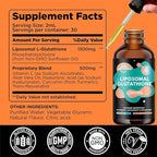 2 Pack Liposomal Glutathione Supplement - 2000mg Glutathione Liquid Drops with Vitamin C, Curcumin & Trans-Resveratrol - Powerful Antioxidant for Immune, Skin Health, Aging Defense & Liver Detox