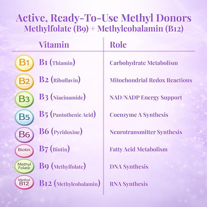 Buried Treasure B Complete - 16 Fl oz, All 8 B Vitamins with Methylated B12 & Methylfolate, Biotin, B1, B2, B6, Antioxidant Support, Liquid & Sugar-Free, B complex vitamins for Women & Men.