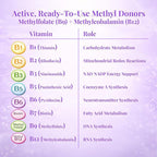 Buried Treasure B Complete - 16 Fl oz, All 8 B Vitamins with Methylated B12 & Methylfolate, Biotin, B1, B2, B6, Antioxidant Support, Liquid & Sugar-Free, B complex vitamins for Women & Men.