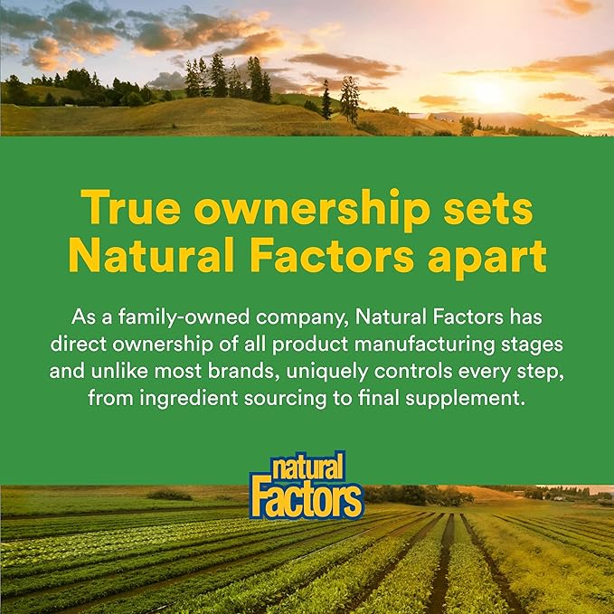 Natural Factors, Turmeric & Bromelain 450 mg, Muscle and Joint Support, 90 Capsules