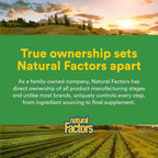 Natural Factors, Turmeric & Bromelain 450 mg, Muscle and Joint Support, 90 Capsules
