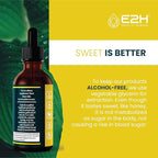 E2H Vegan Liquid Iodine - Thyroid Support and Cognitive Function - Boost Your Metabolism and Energy Levels - Vegan - Non-GMO (2 Bottles)