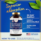 WINDSOR BOTANICALS Lactobacillus Salivarius Probiotic Capsules - L Salivarius Probiotic Oral Dental Probiotics for Bad Breath, Teeth and Gums Health and Immune Support - 24bn CFU, 3-Pack 180 Caps