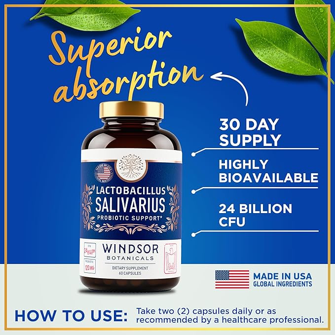 WINDSOR BOTANICALS Lactobacillus Salivarius Probiotic Capsules - L Salivarius Probiotic Oral Dental Probiotics for Bad Breath, Teeth and Gums Health and Immune Support - 24bn CFU, 3-Pack 180 Caps