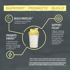 Creatine Monohydrate Powder Micronized PreWorkout Recovery Supplement Support Muscle Building Strength Training Cognition Vegan & Keto Friendly, Easily Mixes 50 Servings Lemonade Flavored