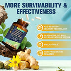 Totaria (2 Packs) 5-in-1 Probiotic Prebiotic & Postbiotic for Women Men, 60 Billion CFU 24 Strains w/Digestive Enzymes, Slippery Elm, Daily Complete Gut Health, Digestive & Immune Support
