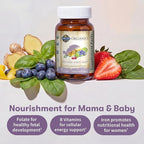 Garden of Life Organics Prenatal Vitamin: Folate for Energy & Healthy Fetal Development, Non-constipating Iron, Vitamin C, B6, B12, D3 – Organic, Non-GMO, Gluten-Free, Vegan, 30 Day Supply (Pack of 6)