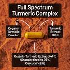 NatureWise Turmeric Curcumin Complex 3200 mg with BioPerine for Absorption - Turmeric Curcumin Supplement for Antioxidant Support - Non-GMO, Vegan, USA Manufactured - 90 Capsules[30-Day Supply]