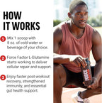 Force Factor L-Glutamine Powder for Post Workout Recovery, Muscle Recovery, Healthy Muscle Function, and Immunity, 5000mg/5g Glutamine Supplement, Vegan, Non-GMO, 60 Servings