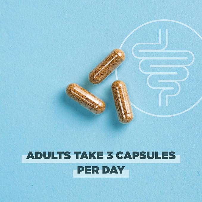 Ancient Nutrition Gut Health Supplement, Regenerative Organic Certified Leaky Gut Capsules, Formulated with Lion’s Mane, Fermented Licorice Root and Spearmint, Gluten Free, Paleo and Keto Friendly, 90