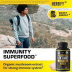 HERBIFY Lions Mane Supplement - Daily Mushroom Supplement for Memory, Focus & Clarity - Brain Booster - Lions Mane Capsules for Natural Immune Support - Vegan, Organic - 120 Capsules