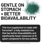 NatureWise Vegan Iron Supplement for Women & Men - Gentle on Stomach High Absorption - Coated Iron Bisglycinate Tablets + Vitamin C, Methyl B12, Folate & Organic Food Blend - 90 Tablets[90-Day Supply]