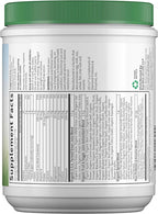 Garden of Life Raw Organic Perfect Food Green Superfood Juiced Greens Powder - Apple Flavor, 30 Servings - Vegan Gluten Free Whole Food Dietary Supplement, Greens Plus Probiotics & Enzymes
