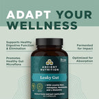 Ancient Nutrition Gut Health Supplement Leaky Gut Capsules, 60ctFormulated with Licorice Root, Astragalus, Marshmallow, and L-Glutamine, Gluten Free, Paleo and Keto Friendly, 60 Ct