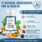 Zinc L Carnosine Complex 85mg, 11-in-1 Digestive & Gut Health Support Supplement, with Soothing Herbal Extract Blend, L-Glutamine & Mastic Gum, 100 Capsules, Non-GMO, Vegan