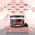 25g Shilajit Pure Himalayan Organic - Shilajit Resin Contains Natural Fulvic, Humic Acid & 85+ Trace Minerals - Support for Energy Production, Brain Health, Immune System & Body Balance