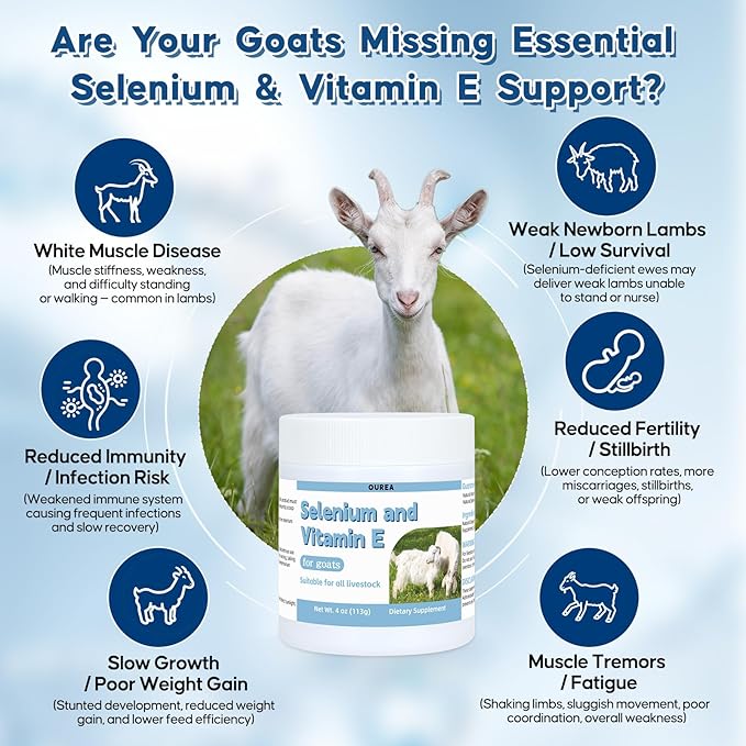 Selenium & Vitamin E Powder for Goat, Selenium Supplement for Goats, Immune System, Muscle Support & Relieve Stress Response, Selenium, Vitamin E Supplements, Goat Minerals, Suitable for All Livestock