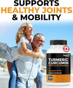 Renew Actives Turmeric Curcumin with Black Pepper – 600MG Turmeric Root, 100MG Curcuminoids per 2 Capsules – Supports Digestion, Liver Health, Joint Relief & Mobility – Made in Canada – 120 Capsules