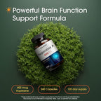 NatureBell Huperzine A 400mcg - 240 Capsules - Brain, Focus & Memory Support* - Plant-Based Nootropic Supplement - Non-GMO & Gluten-Free