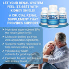 Kidney Shield Omega 3 Fish Oil Supplements - DHA EPA Omega 3 Supplement for Women & Men Kidney Health - Omega3 to Support Normal Kidneys Function & Cleanse, Detox & Repair - 120 Lemon Softgels