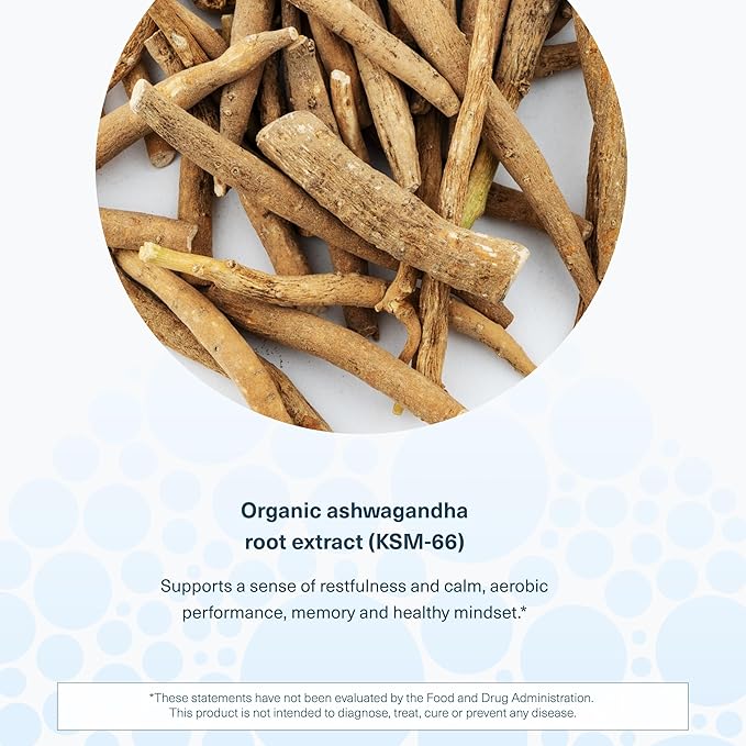 Youtheory Ashwagandha Liquid - with Organic KSM-66 Ashwagandha - Herbal Blend to Support Stress Relief & Energy Levels* - Helps Support Mood* - 1 oz Single Serve Packet, Pack of 30