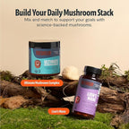 FreshCap Organic Mushroom Capsules Supplement - Fruiting Body Extract (Lion's Mane, 60 Capsules)