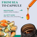 GLX3 Green Lipped Mussel Oil Capsules for Joint and Muscle Support | Extra-Strength ETA, EPA, DHA Omega-3 Green Lipped Mussel Supplement for Comfort, Flexibility & Recovery by HakaLife GLX3