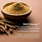 TRIBE ORGANICS KSM-66 Ashwagandha Root Extract Powder Ayurvedic Herb for Mood Support | Increase Energy | Strength - Organic | Natural | Gluten Free | Non GMO | Full-Spectrum - 100g Pouch