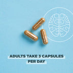 Ancient Nutrition Regenerative Organic Certified Focused Brain Capsules, Made with Ginkgo Leaf, Lion's Mane to Help Reduce Stress, Gluten Free, Paleo and Keto Friendly, 90 Count