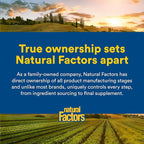 Natural Factors, Men's Multivitamin & Mineral, 1 Serving Contains Nutrition Equivalent to ½ lb of Veggies, 60 Tablets