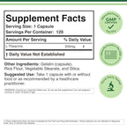 L-Theanine 200mg Double Strength - Supports Health Sleep Response and Relaxation - 120 Capsules (Third Party Tested, Gluten Free, Vegan) by Double Wood (Pack of 2)