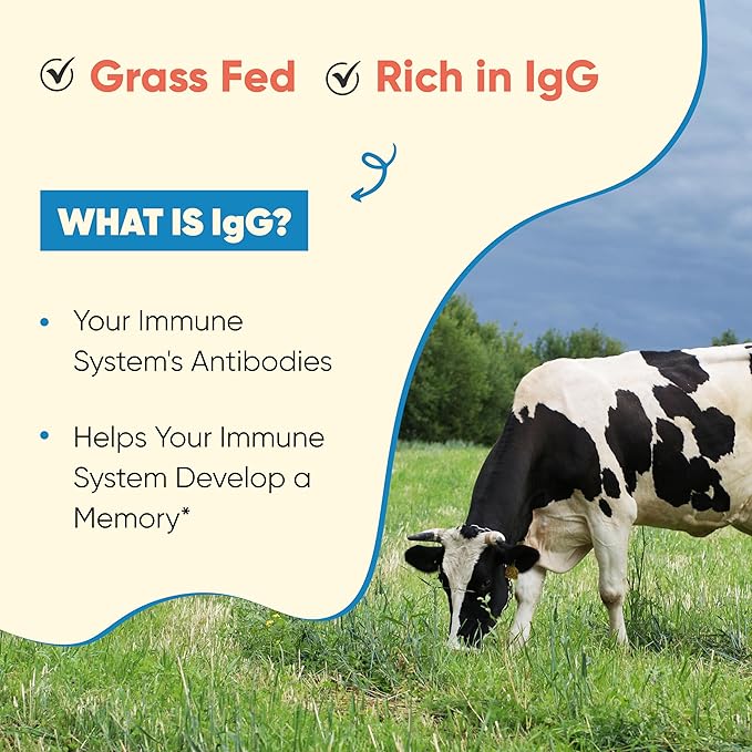 Sandhu's Grass Fed Bovine Colostrum Powder for Humans, Adults | 30 Servings (Pack of 1) Cows Supplement | High IgG for Gut Health | Immunity & Muscle Recovery Support | Unflavored | for Men & Women