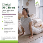 Terry Naturally Clinical OPC Heart - Heart Health Supplement with Magnesium, Vitamin B6, Grape Seed Extract - Dietary Supplement for Artery Health & Circulation - 60 Capsules (Pack of 2)