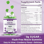 Nicotinamide 500mg Gummies, (Flush Free Niacin) Vitamin B3 Niacinamide Supplement for Cell Regeneration, NAD+ Levels, Anti-Aging, Cellular Energy, Focus & DNA Repair, Longevity, Sugar Free, 60Cts