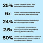 Celly Autophagy Activator | Longevity Supplement for Cellular Nutrition and Healthy Aging | Promotes Cell Renewal with Spermidine, Pterostilbene, Fisetin, and NAC | Made in USA & 3rd Party Tested