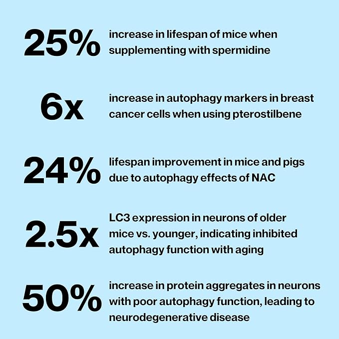 Celly Autophagy Activator | Longevity Supplement for Cellular Nutrition and Healthy Aging | Promotes Cell Renewal with Spermidine, Pterostilbene, Fisetin, and NAC | Made in USA & 3rd Party Tested