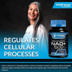 WELLNESS LABSRX Liposomal NAD Supplement, 1500mg - USA Made, NAD Resveratrol Supplement for Women and Men, NAD+ Support Cellular Health, Energy & Anti Aging - 2 Pack