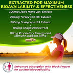 Organic Mushroom Complex: Lion's Mane, Turkey Tail, Cordyceps, Chaga, Contains Naturally Occurring Beta Glucans - Organic Energy & Immune Support Blend: Rhodiola Rosea, Ginseng & Acerola Cherry 120Ct