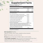Liver Advanced+, 240 Veggie Capsules | 20-in-1 Complex with Milk Thistle, Dandelion, NAD, NAC, ALA, TUDCA, Glutathione, Artichoke, Turmeric, & Astragalus | Non-GMO, Gluten Free
