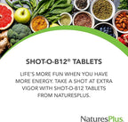 NaturesPlus Shot-O-B12 5000 mcg - 60 Sustained Release Tablets, Pack of 2 - Supports Energy Production & Mood - Vegetarian, Gluten Free - 120 Total Servings