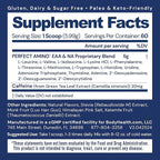 BodyHealth PerfectAmino Powder - BCAA and EAA Powder for Pre and Post Workout - Amino Acid Energy Drink for Men and Women to Support Lean Muscle and Recovery - Mocha - 60 Servings
