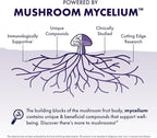 Host Defense MycoBotanicals Brain* Capsules - Brain Support Supplement with Lion's Mane, Reishi & Cordyceps Mushroom - Herbal Supplement for Memory & Focus Support - 60 Capsules