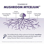 Host Defense Mushrooms Lion's Mane Gummies - Brain Health Support - Mushroom Supplement to Support Focus & Memory Function - Immune & Nervous System Support - Blueberry, 90 Gummies*