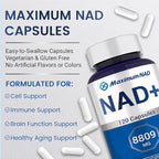 NAD+ Supplement 120 Capsules – Liposomal NAD+ with Resveratrol for Cellular Energy & Daily Vitality – High Absorption Formula for Men & Women – Vegan, Non-GMO, Gluten-Free