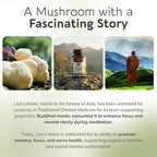 Longevity Botanicals Organic Lion's Mane Mushroom Capsules Supplement Extract 120ct | Hericium Erinaceus Fruiting Body | ≥20% Beta-D-Glucans | 40 Servings of 900mg | Supports Cognitive & Gut Wellness