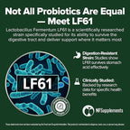 Lactobacillus Fermentum Probiotic 240 Tablets (4 Month Supply) – Researched Strain LF61 – 3 Billion CFU – Digestive Health & Antioxidant Support – GMP Certified (240, Lactobacillus Fermentum)