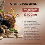 Mushroom Supplement - Organic Lions Mane | Turkey Tail | Chaga | Cordyceps | Reishi | Maitake | Shiitake | Meshima | Tremella | Oyster | Agaricus - Made in USA - Non GMO, Gluten Free - 120 Capsules