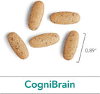 Nutricology Cognibrain Supplement - Memory and Focus Support for Brain Function Health with Lion's Mane, Vegetarian Capsules - 90 Count