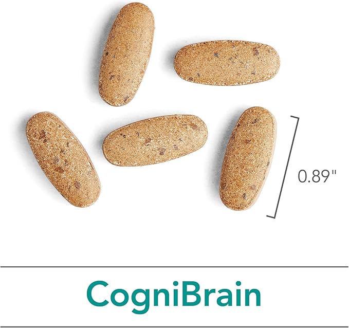 Nutricology Cognibrain Supplement - Memory and Focus Support for Brain Function Health with Lion's Mane, Vegetarian Capsules - 90 Count